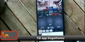Tải app Dagathomo